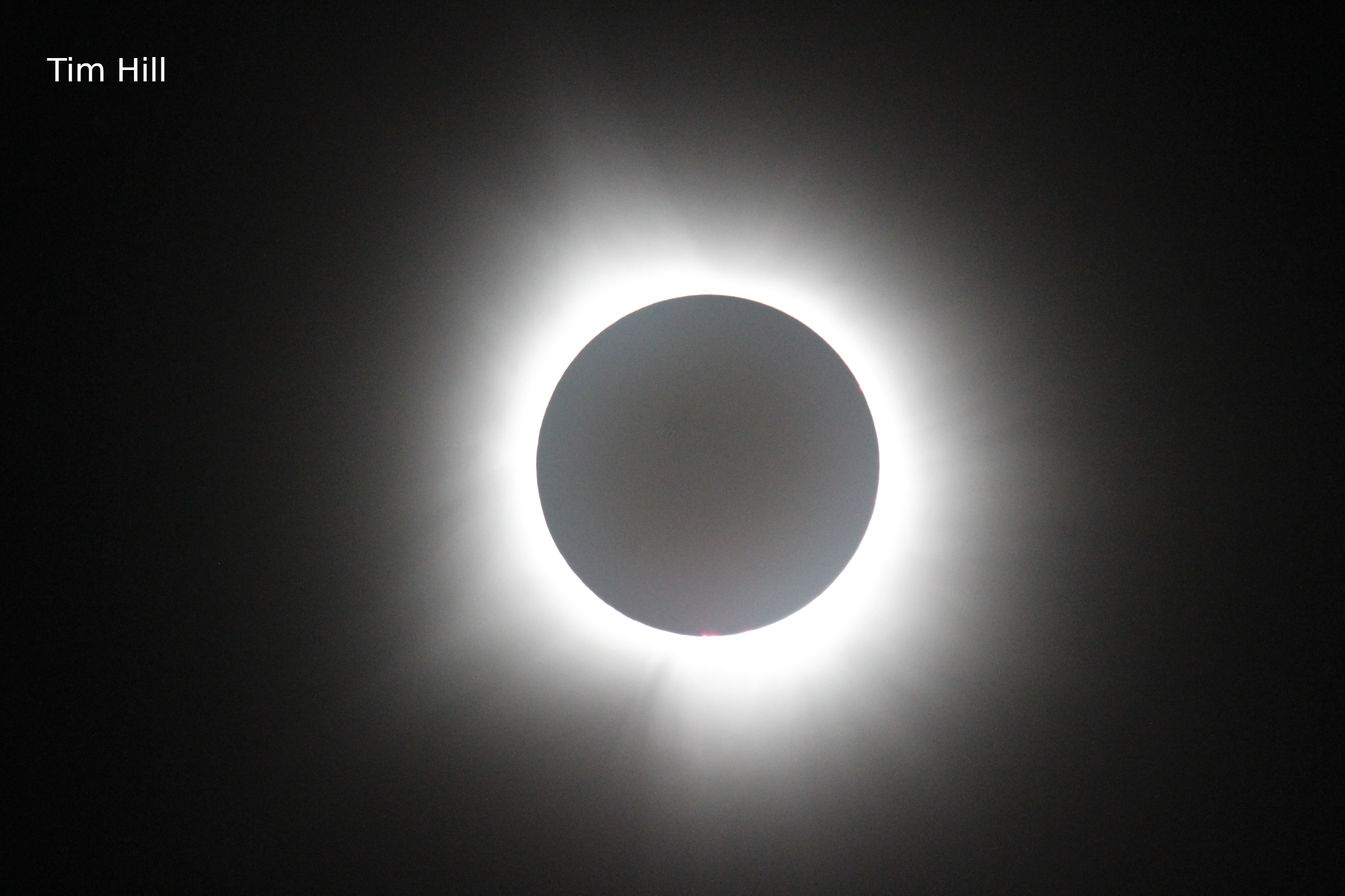 2024 Eclipse by Tim Hill.jpg