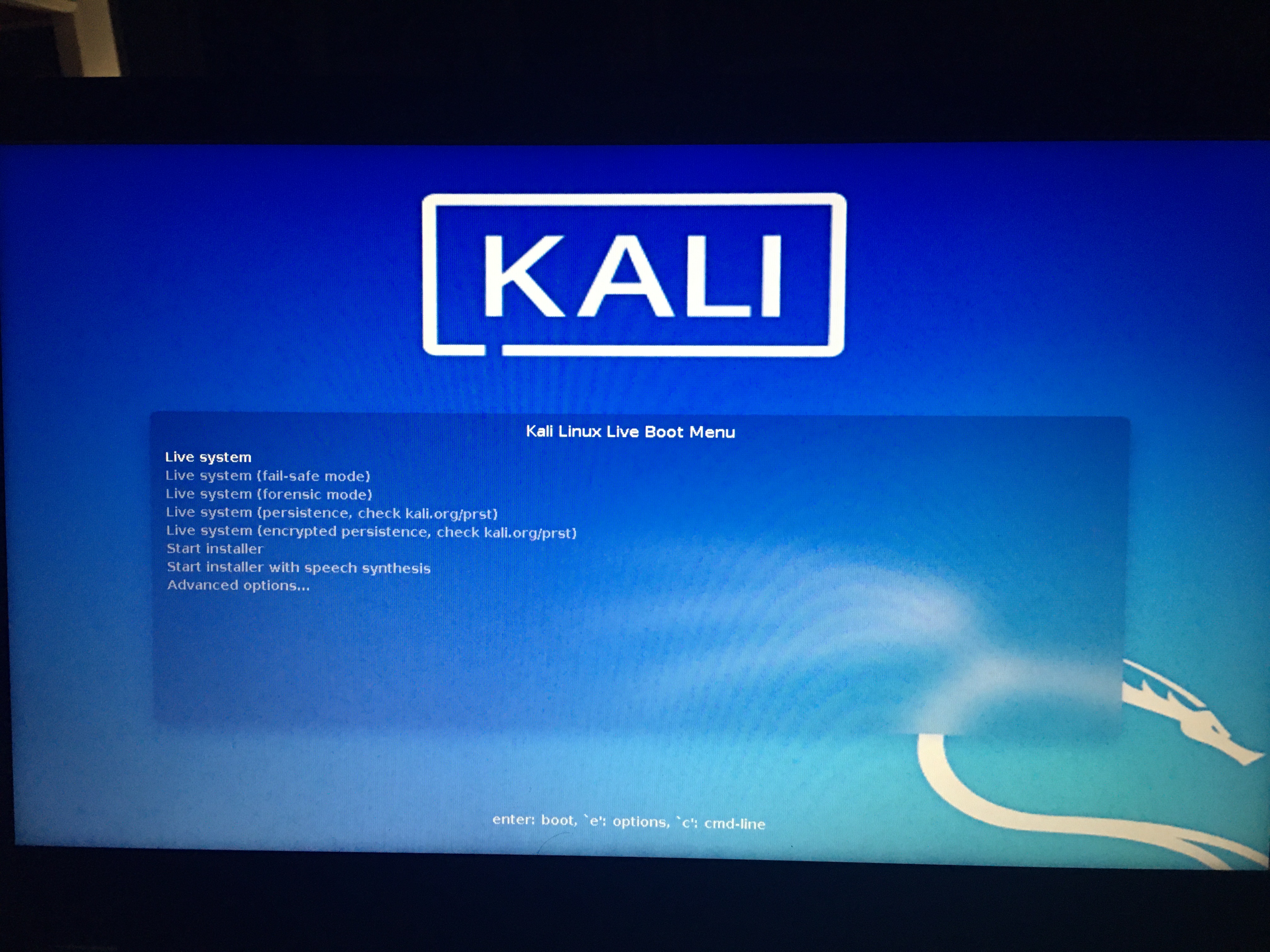narre Kanin sagde Kali 2020.3 Live USB with persistence: stuck on Live Boot Menu | Linux.org