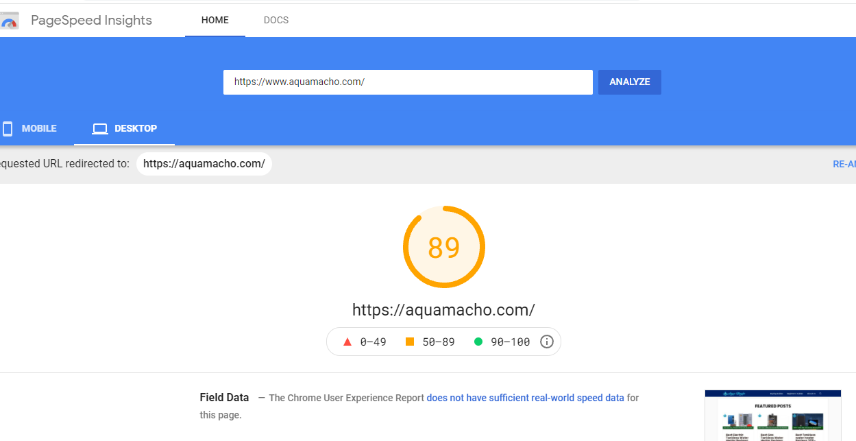 PageSpeed Insights - Google Chrome 10_2_2021 7_56_24 PM.png