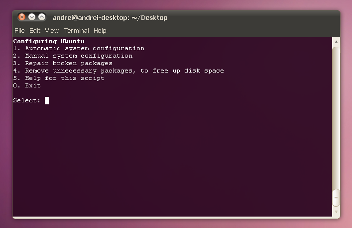 Ubuntu Terminal.png